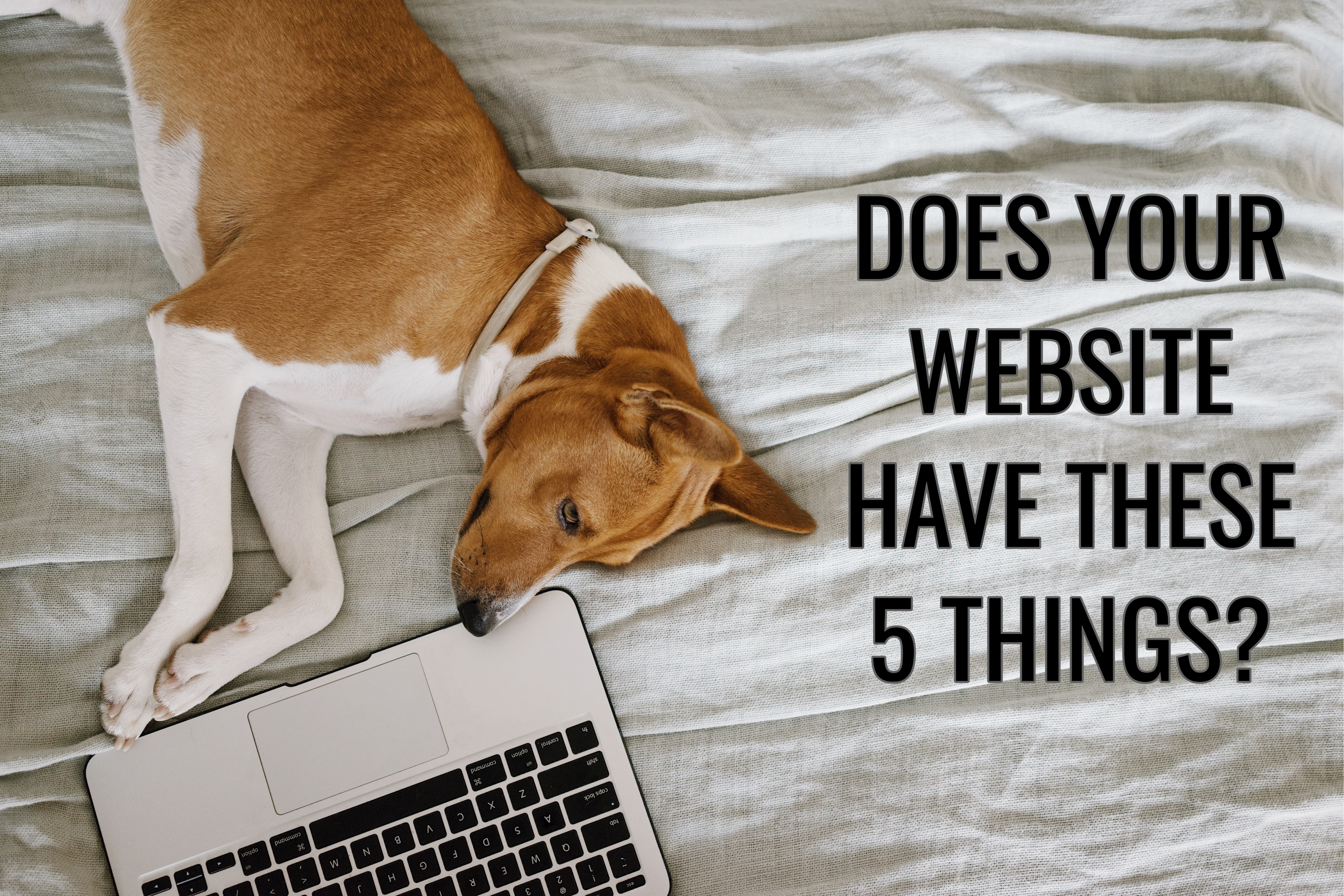 does-your-website-have-these-5-thing